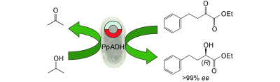 Graphical Abstract