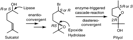 Graphical Abstract