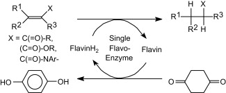 Graphical Abstract