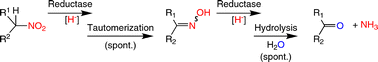 Graphical Abstract