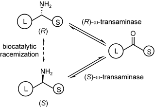 Graphical Abstract