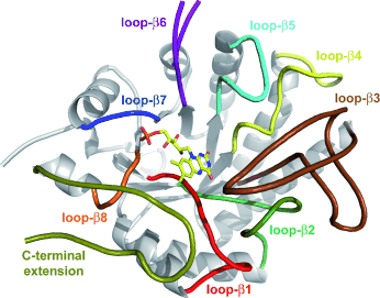 Graphical Abstract