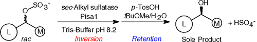 Graphical Abstract