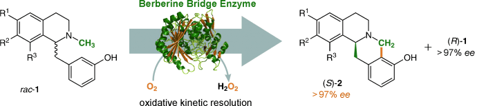 Graphical Abstract