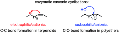 Graphical Abstract