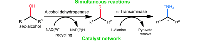 Graphical Abstract