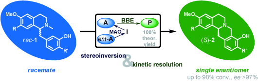 Graphical Abstract