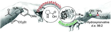 Graphical Abstract