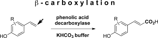 Graphical Abstract