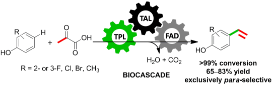 Graphical Abstract