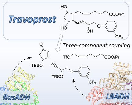 Graphical Abstract