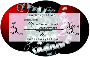 Graphical Abstract