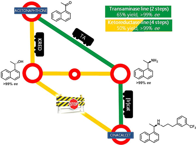 Graphical Abstract