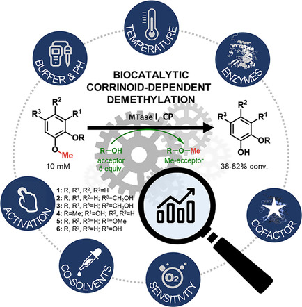 Graphical Abstract