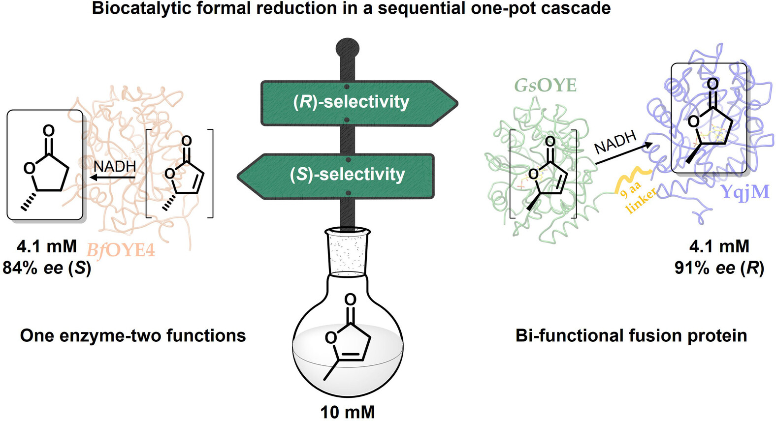 Graphical Abstract