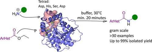 Graphical Abstract