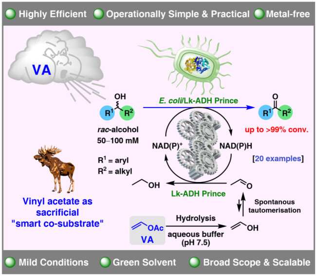 Graphical Abstract