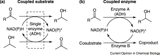 Graphical Abstract