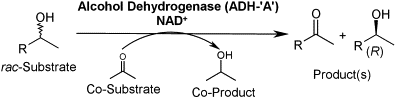 Graphical Abstract