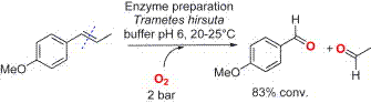 Graphical Abstract